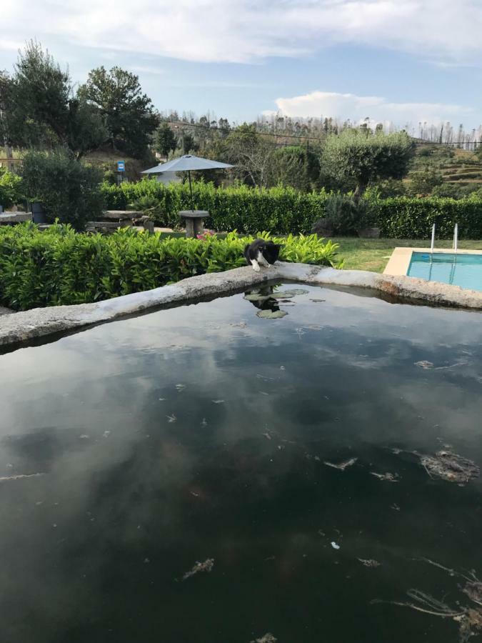 Casa Do Villas Castelo de Paiva Ngoại thất bức ảnh